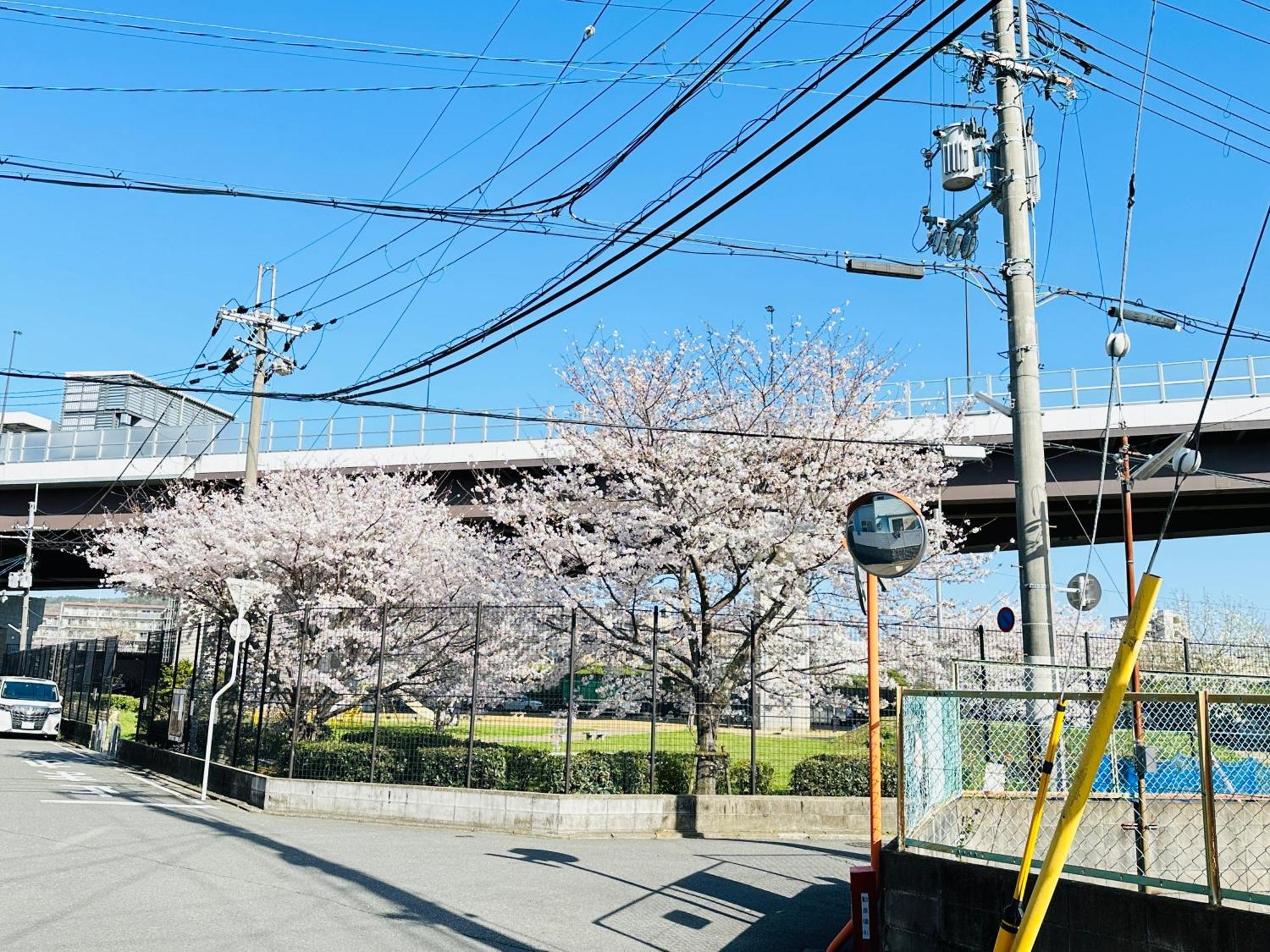 - ki no 宿 ut - 新築 戸建て 最大 7 a まで 宿泊 可能 Tora 街 駅 まで 徒歩 10 分 Kyoto Buitenkant foto